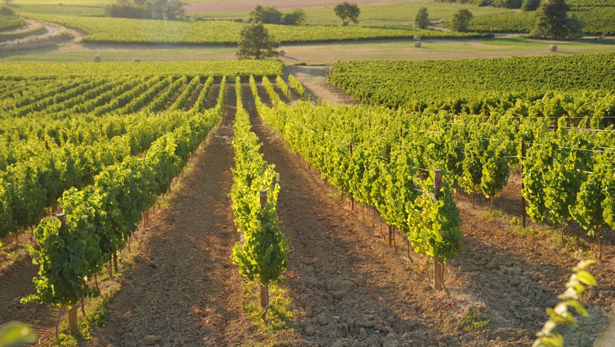 C'est l'histoire de ...